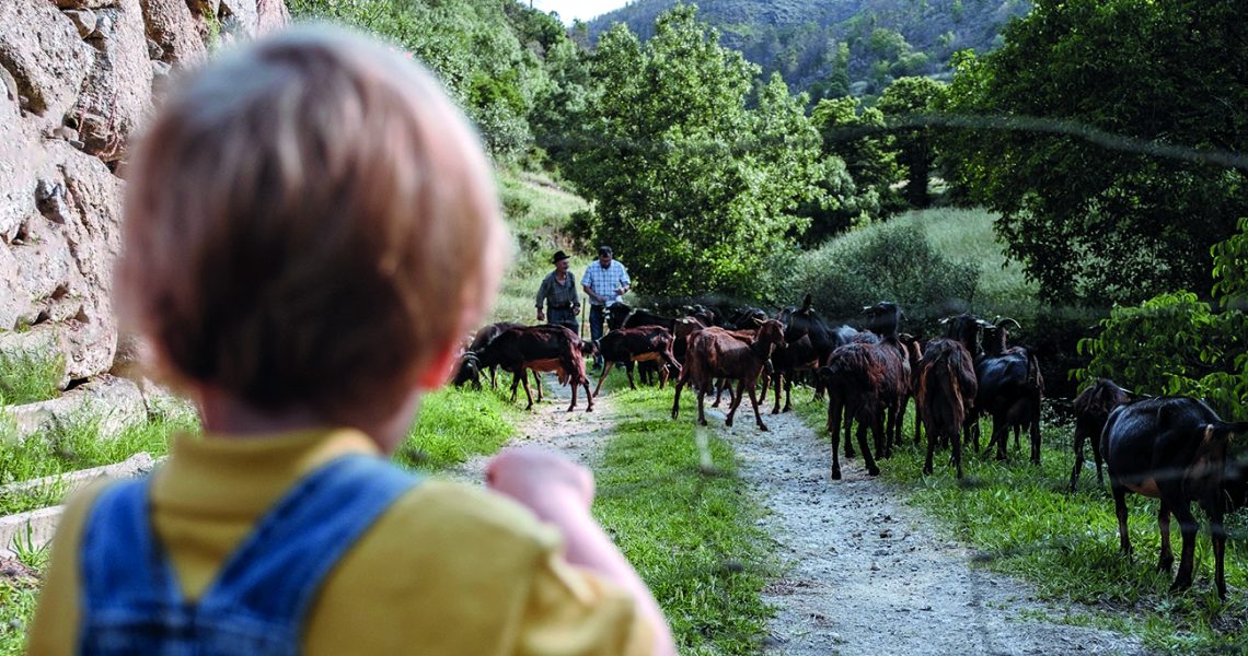 16 - criança manteigas (cmm)