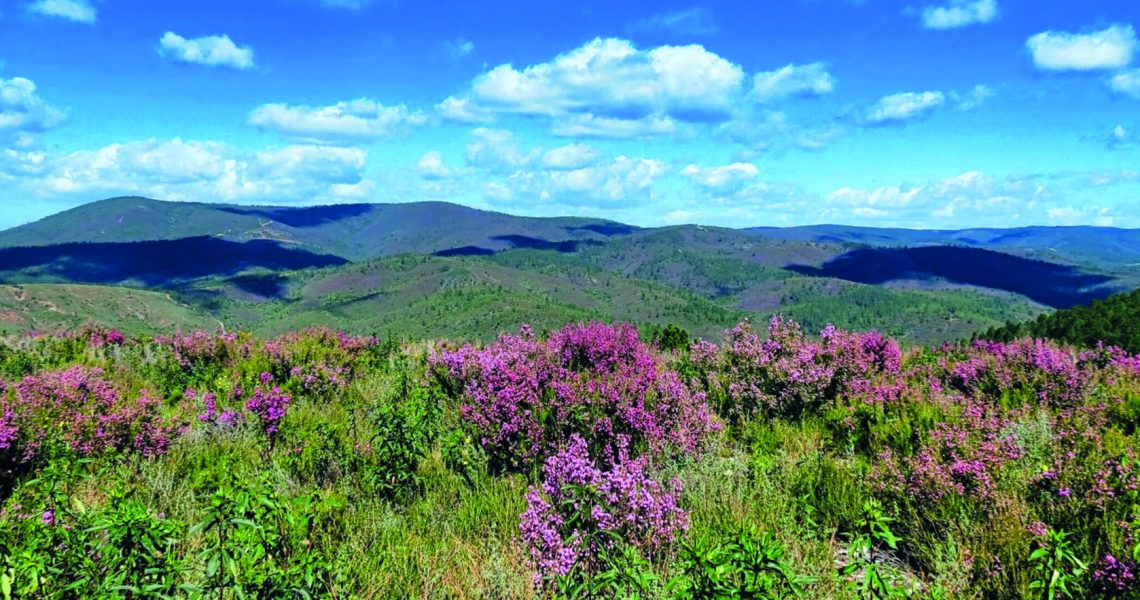 17 - serra da malcata (CMP)(1)