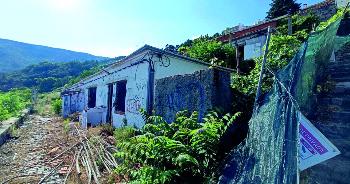 5 – bairro da alegria 2025 (ana ribeiro rodrigues)(1) 5 - bairro da alegria 2025 (ana ribeiro rodrigues)(1)