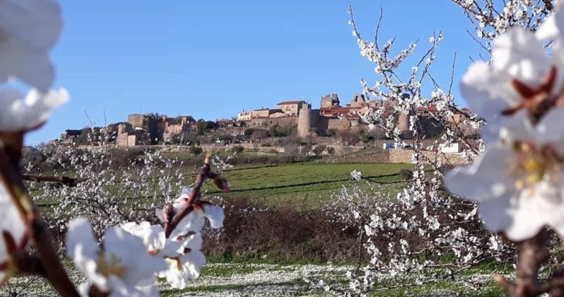 641255208_1319838070178906_711019846624044445_n