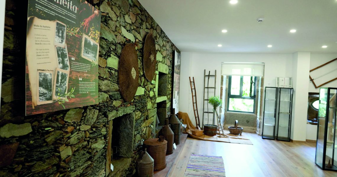 7 - centro interpretativo azeite coutada (CMC)(1)