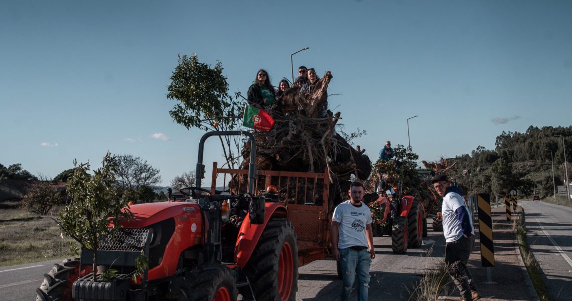 MADEIRO PENAMACOR (CMP)