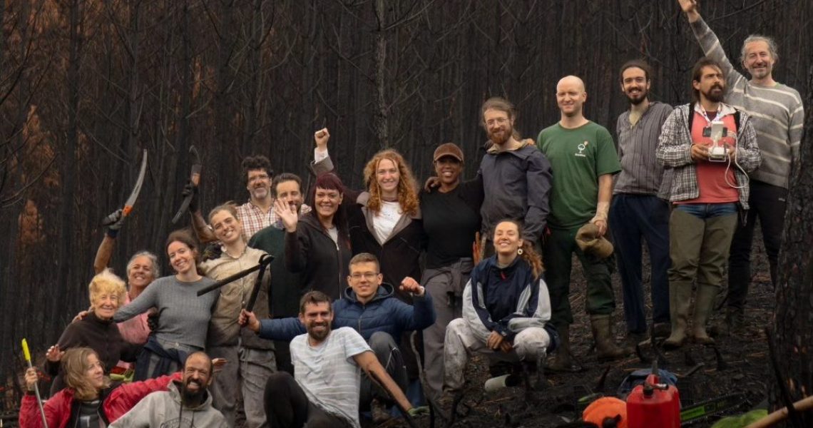 MÃOS NA TERRA (Ananda Kalyani)