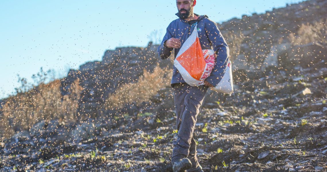 MEDIDAS EMERGÊNCIA (CMC)