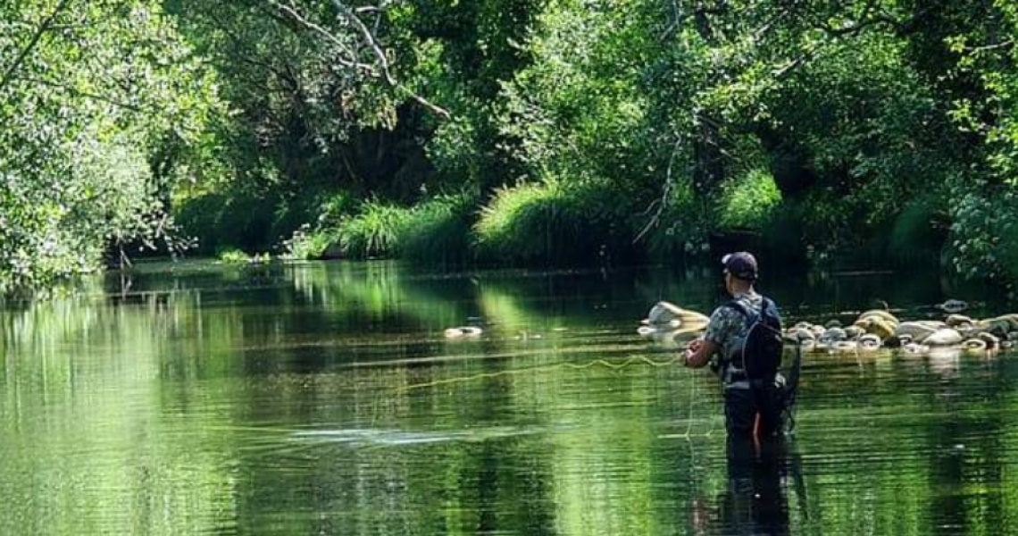 PESCA À PLUMA