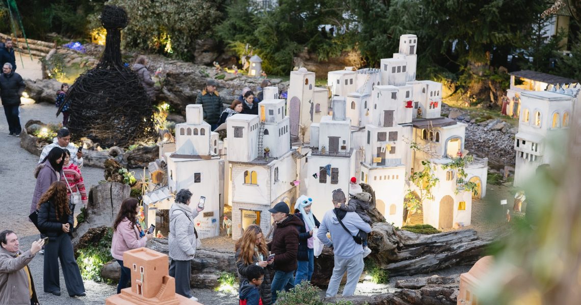 PRESÉPIO SABUGAL (CMS)