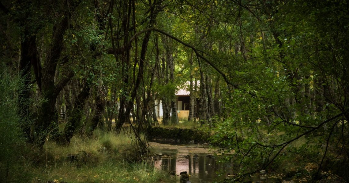 covão da ametade (Gonçalo Poço)