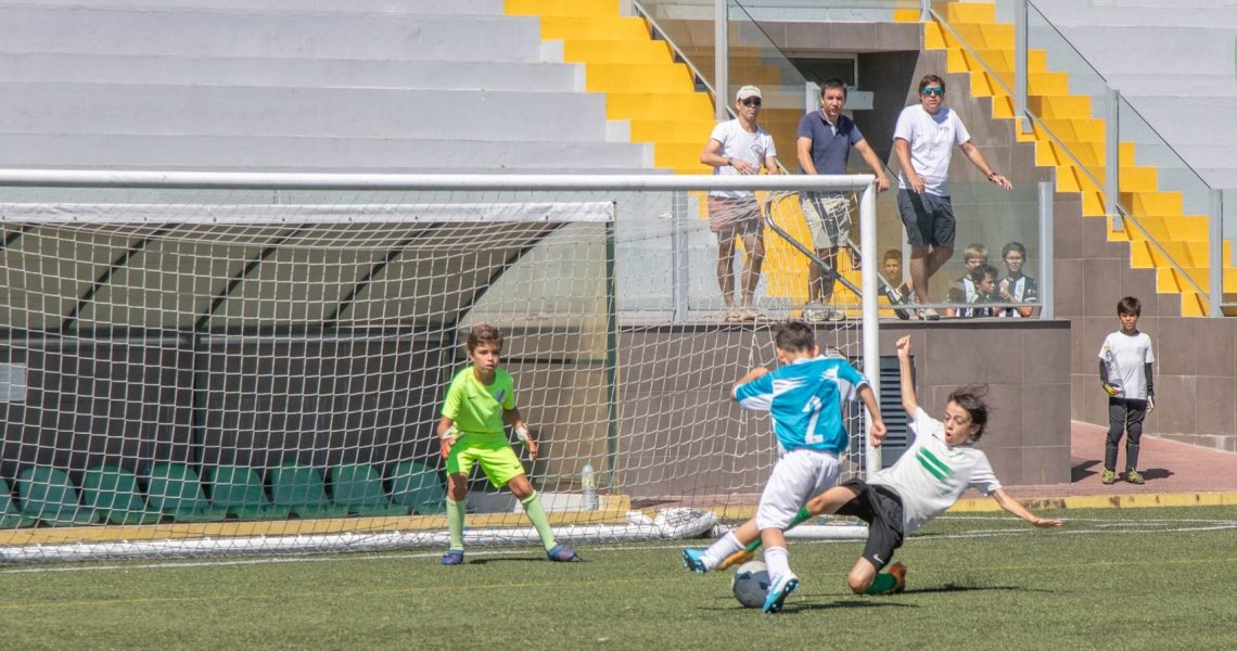 diamantino costa (António Salvado)