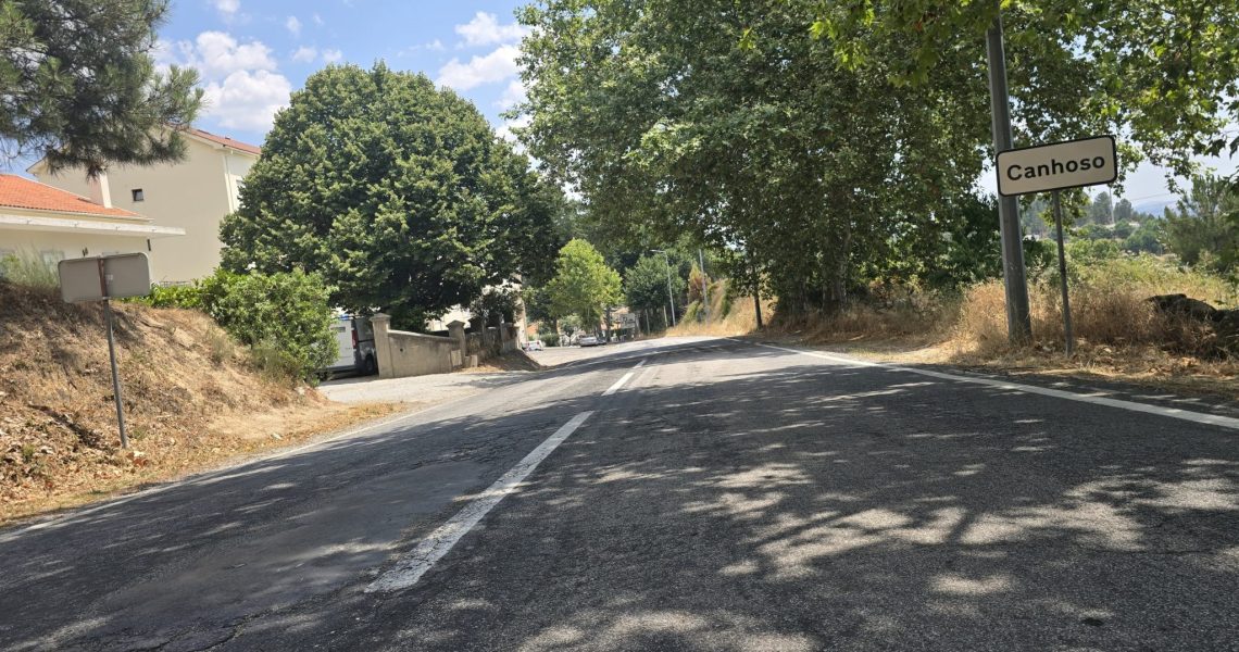 estrada canhoso (ana ribeiro rodrigues)