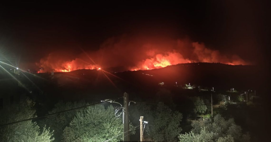 fogo penamacor (Aranhas)