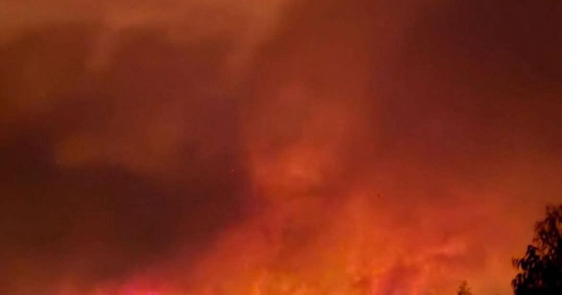 fogo sobral celia pinto