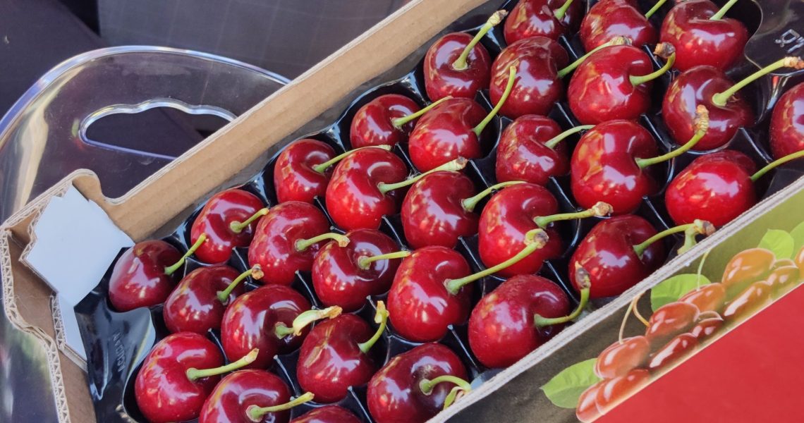 leilão cereja (ana ribeiro rodrigues)(1)