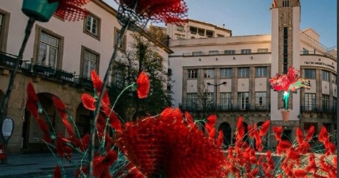 nova instalação cravos