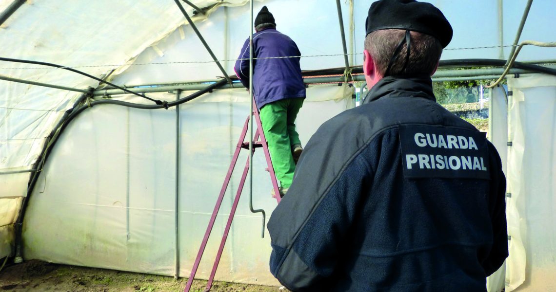 reclusos em trabalho no exterior (ana ribeiro rodrigues)(1)