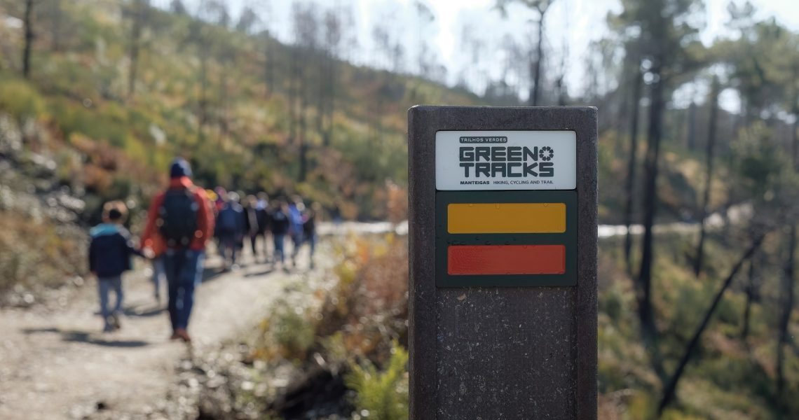 trilhos verdes (cmm)